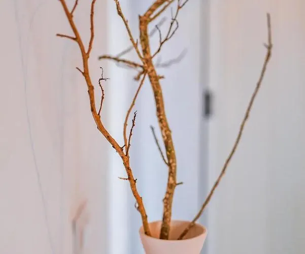 Nieves 公寓 特吉塞